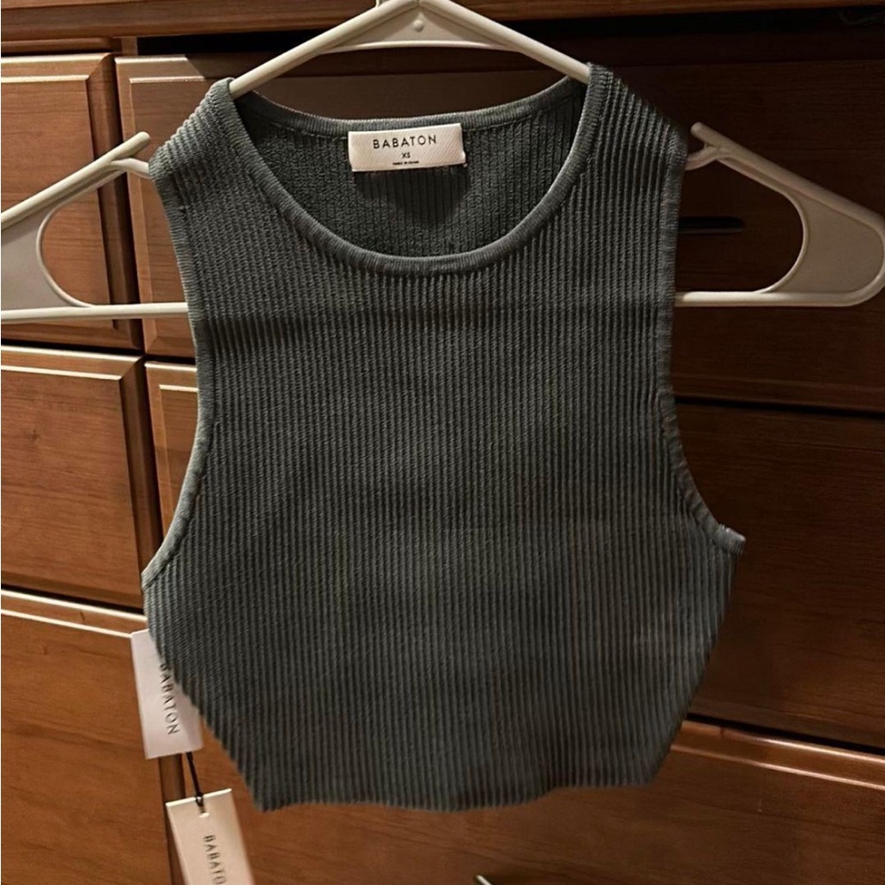 Aritzia Babaton Rory Top